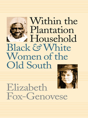 cover image of Within the Plantation Household